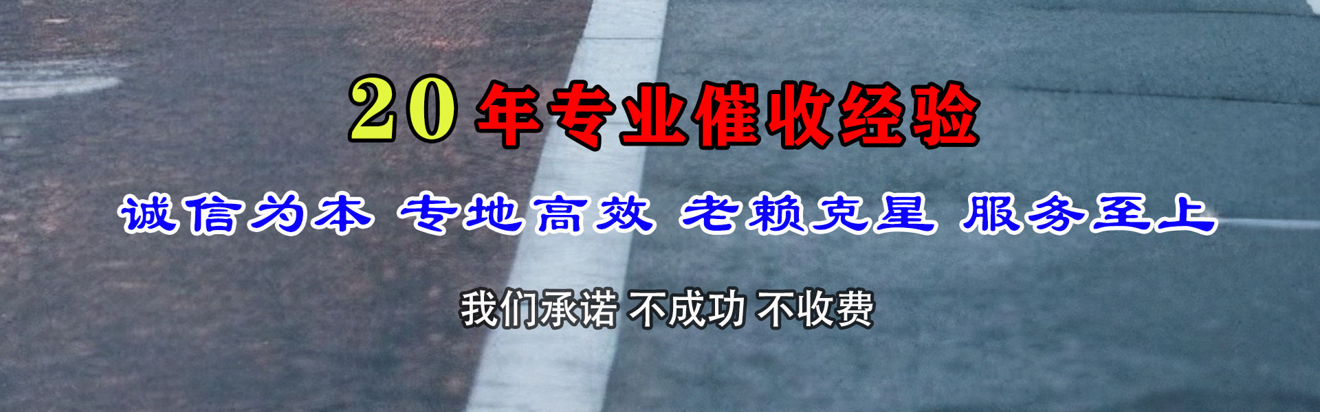 北镇追数公司